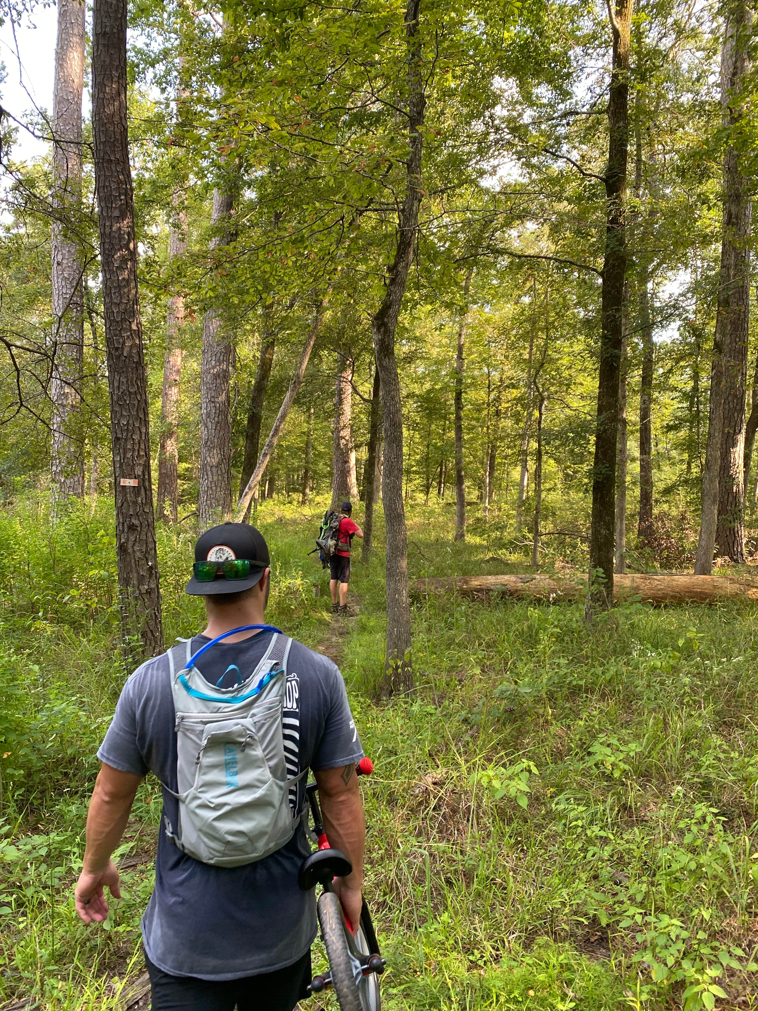 Camper submitted image from Davy Crockett National Forest Ratcliff Lake Recreation Area - 3