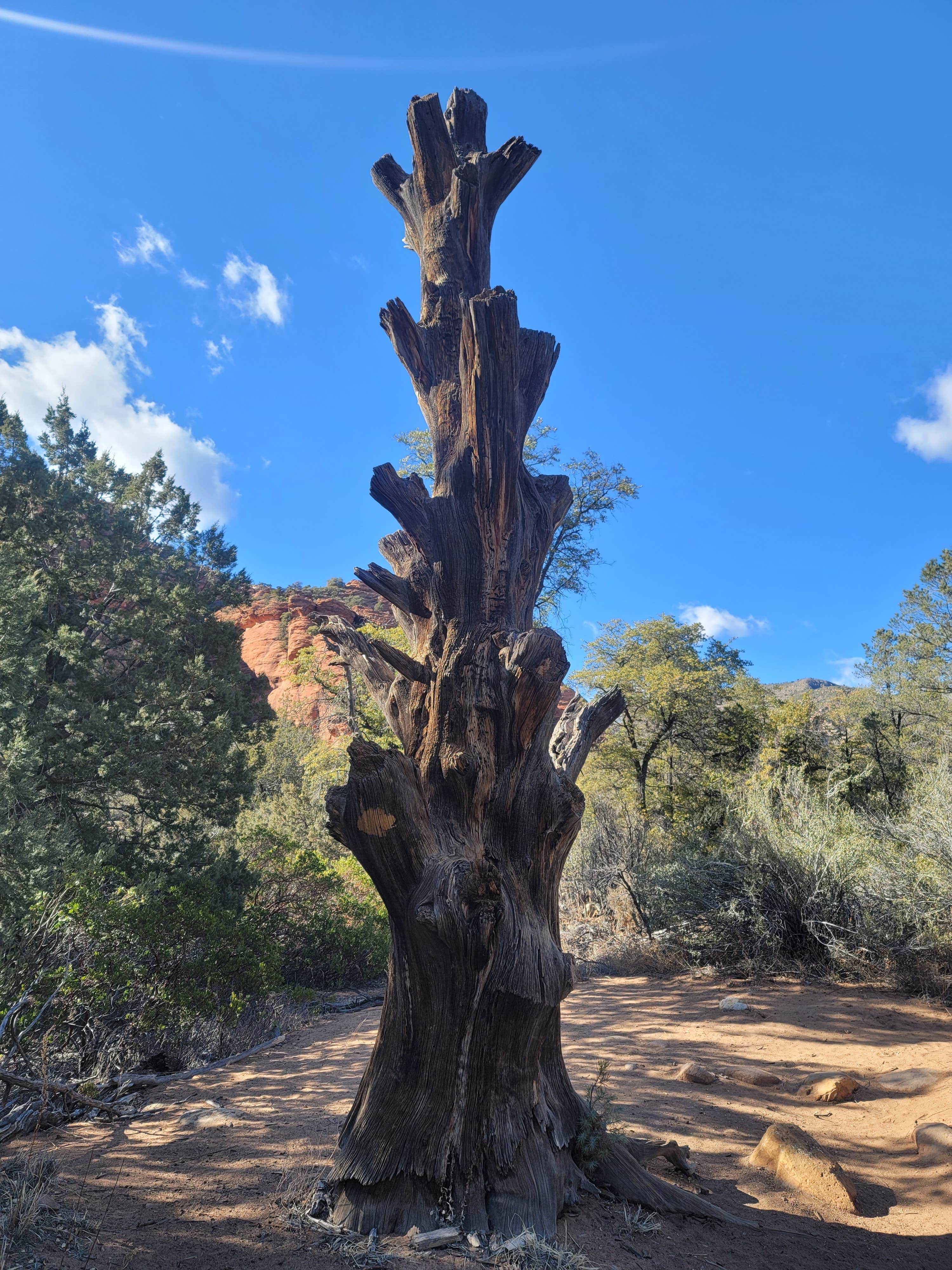 Camper submitted image from West Sedona Designated Dispersed Camping - 5