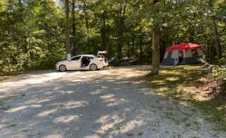 Heather P.'s photo at Lake Glendale Recreation Area near Shawnee National Forest