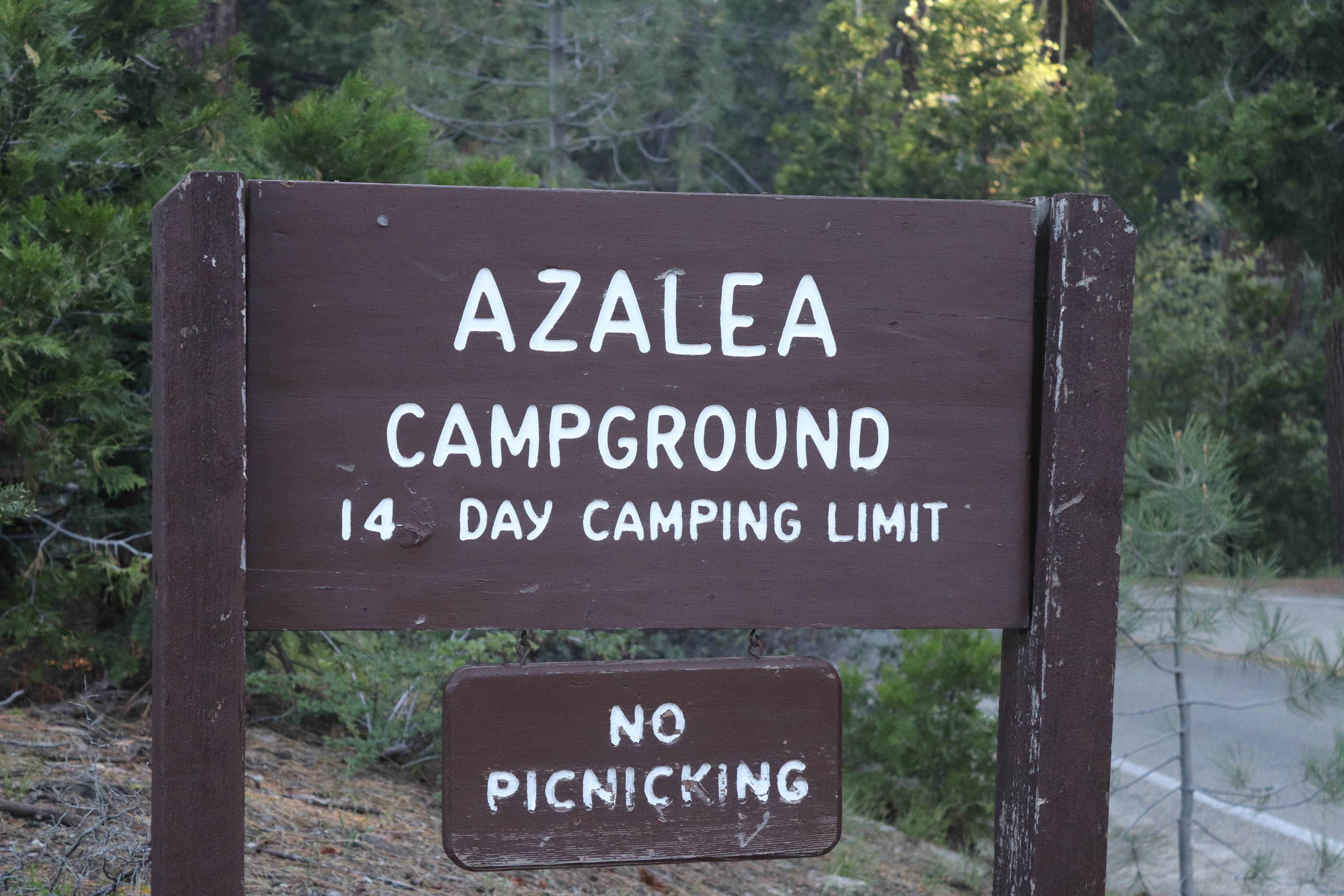 Camper submitted image from Azalea Campground — Kings Canyon National Park - 5
