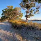 Review photo of Upper Campground - Pahranagat National Wildlife Refuge by Gavin M., September 27, 2021