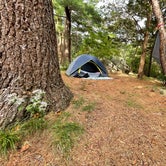 Review photo of Cape Ann Camp Site by Emily T., September 27, 2021