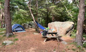 Emily T.'s photo of tent camping at Cape Ann Camp Site in Massachusetts