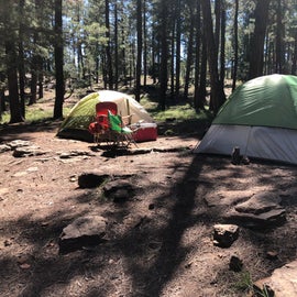 spacious campsite