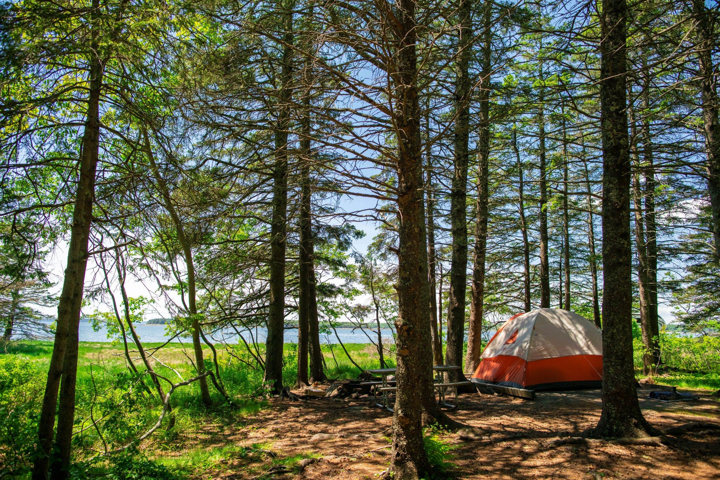 Michael's photo at Bar Harbor/Oceanside KOA near Bar Harbor, ME
