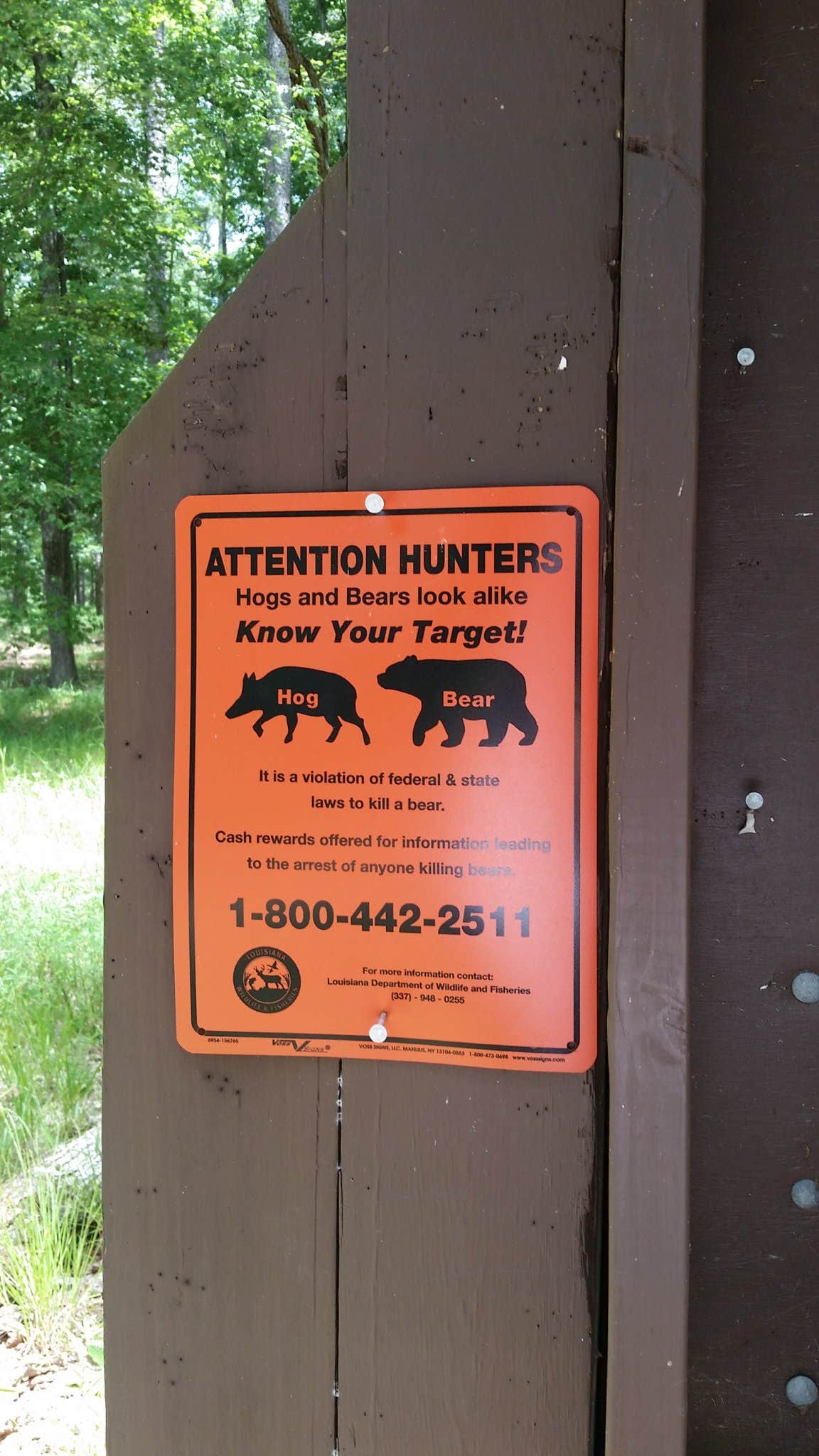 Camper-submitted photo at Saddle Bayou Camp Complex near Forest Hill, LA