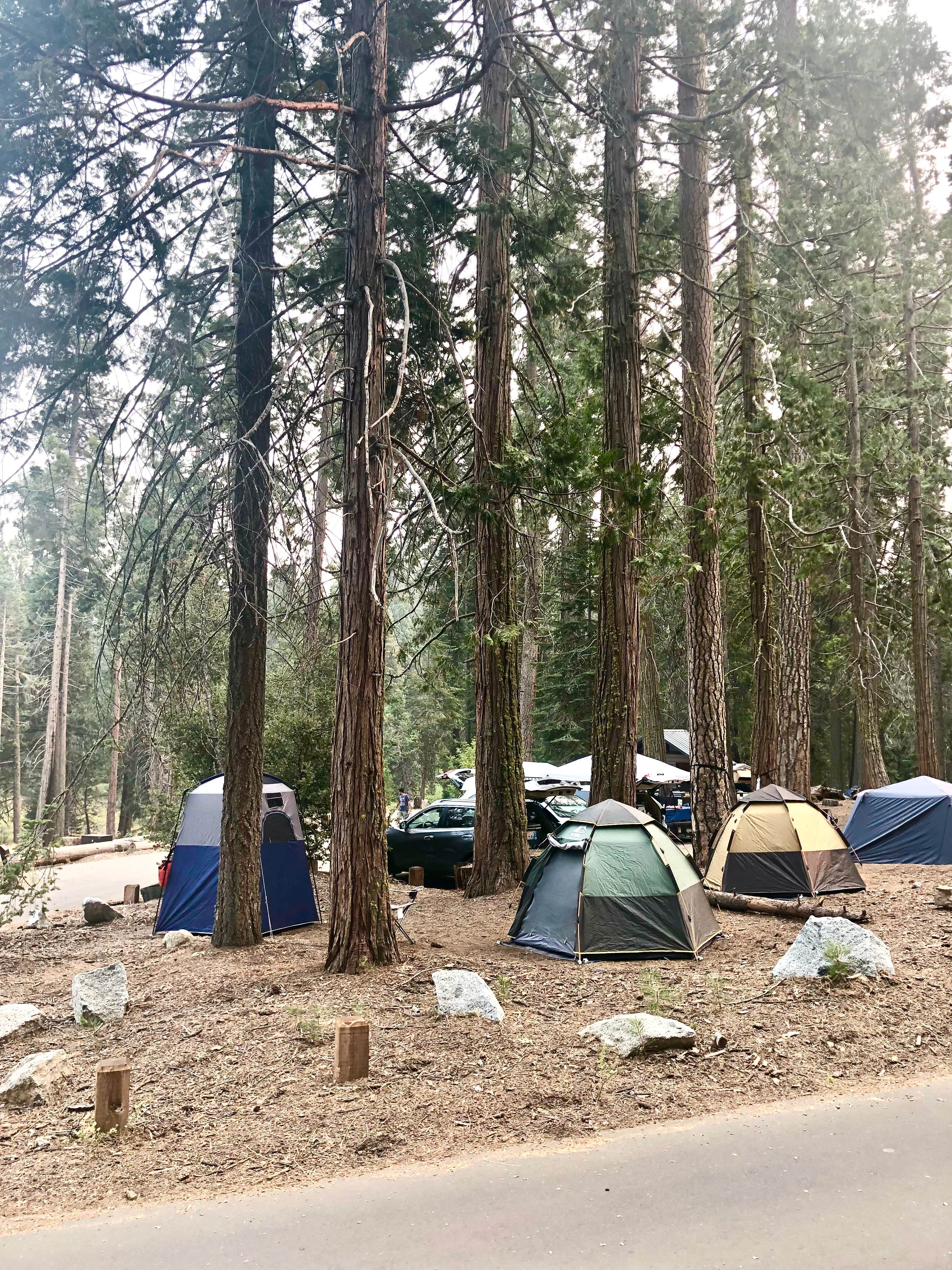 Tadd N.'s photo at Dorabelle Campground near Big Creek, CA