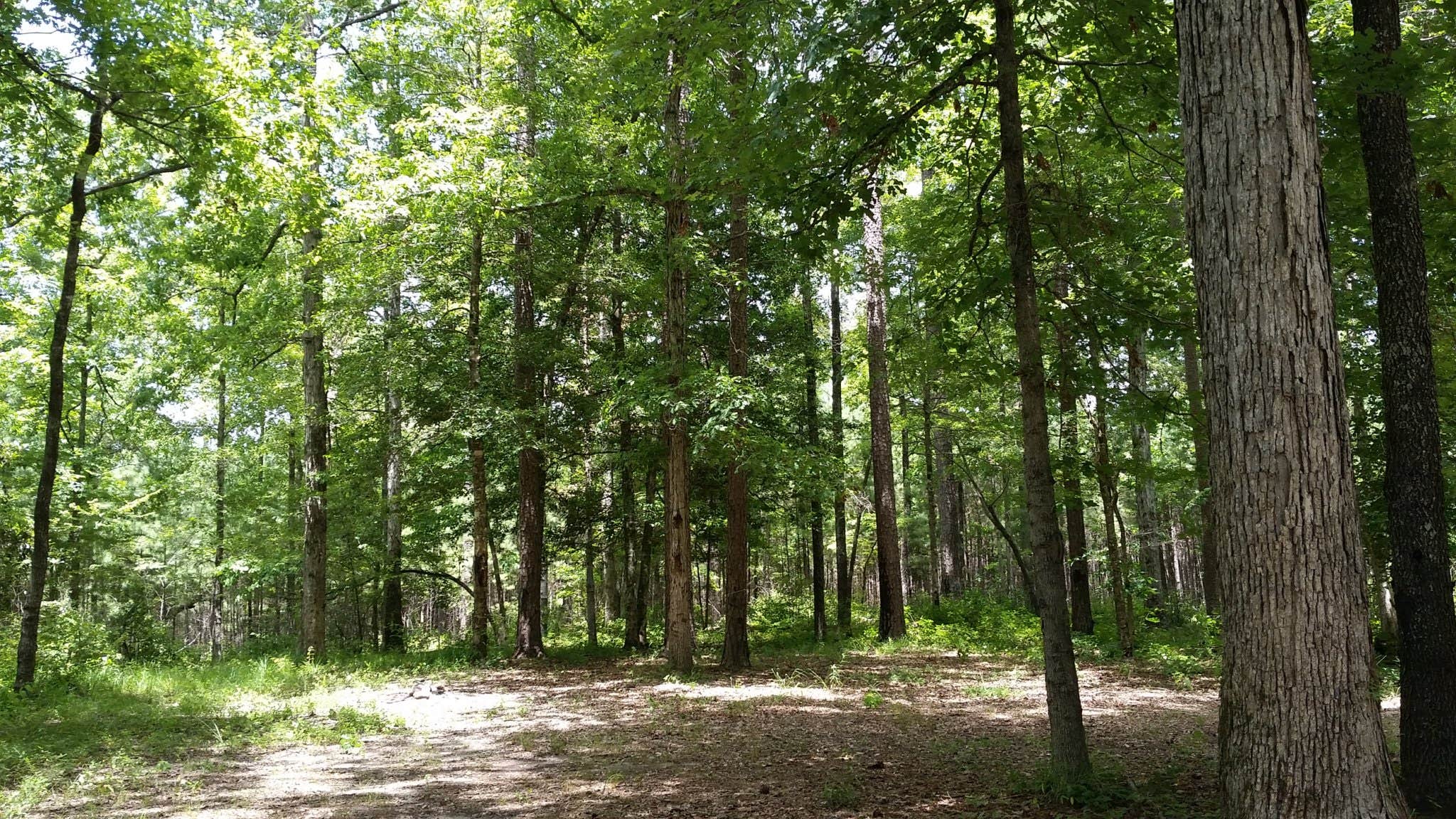 Camper-submitted photo at Saddle Bayou Camp Complex near Forest Hill, LA