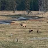 Review photo of Madison Campground — Yellowstone National Park by Rebeca H., September 27, 2021