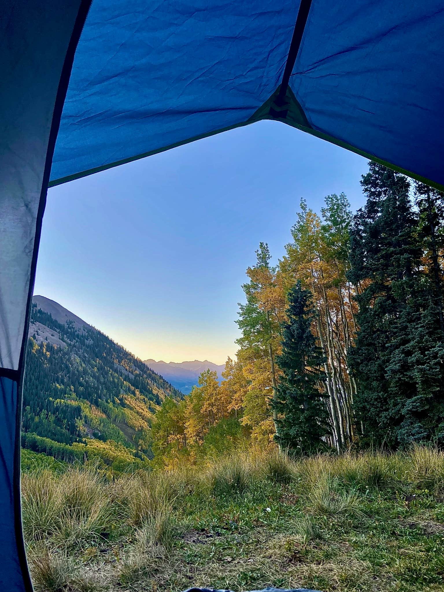 MaryBeth V.'s photo of a dispersed camping area at Last Dollar Road near Ouray, CO