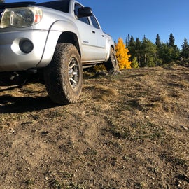 the Tacoma made it up just fine although it was a little narrow at the end