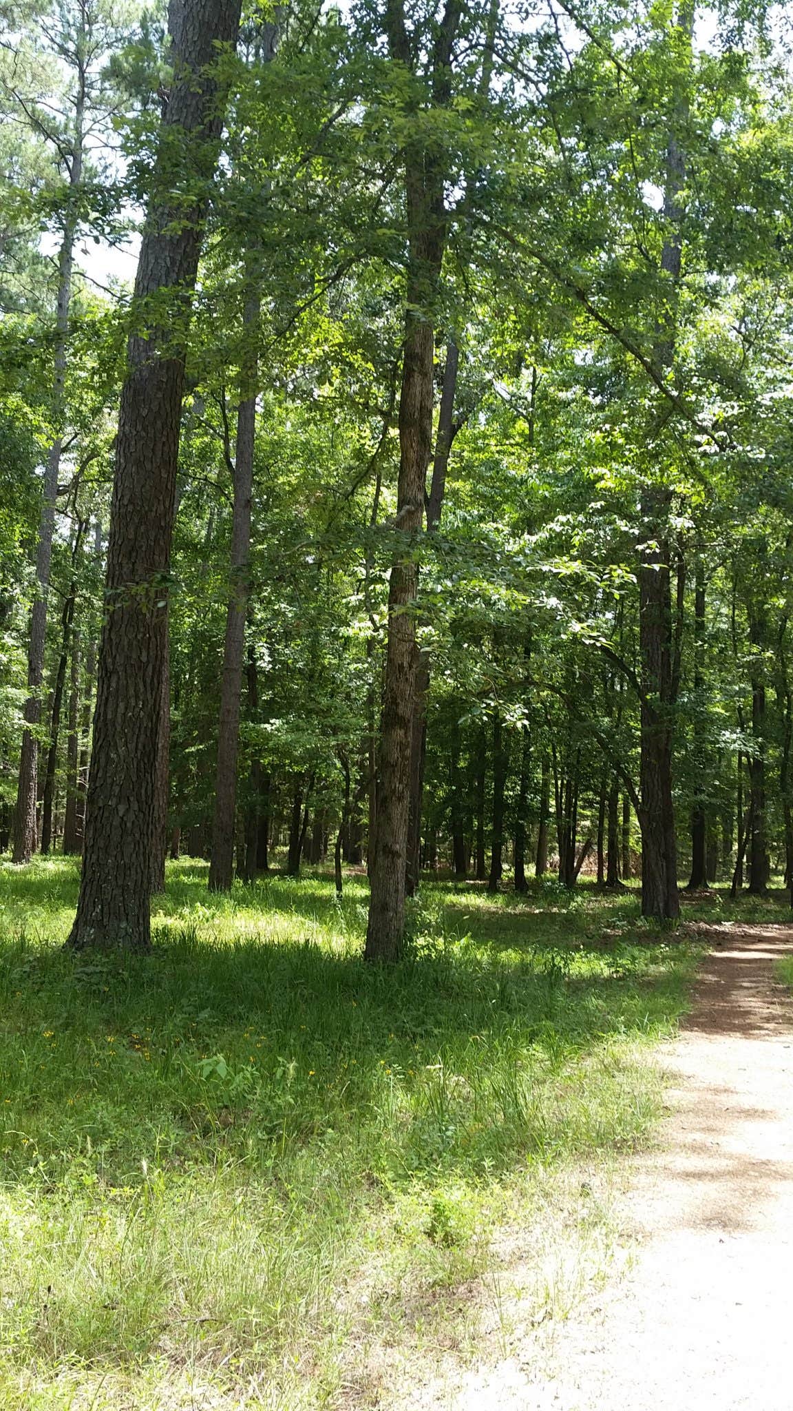 Camper-submitted photo at Pearson Camp near Natchitoches, LA