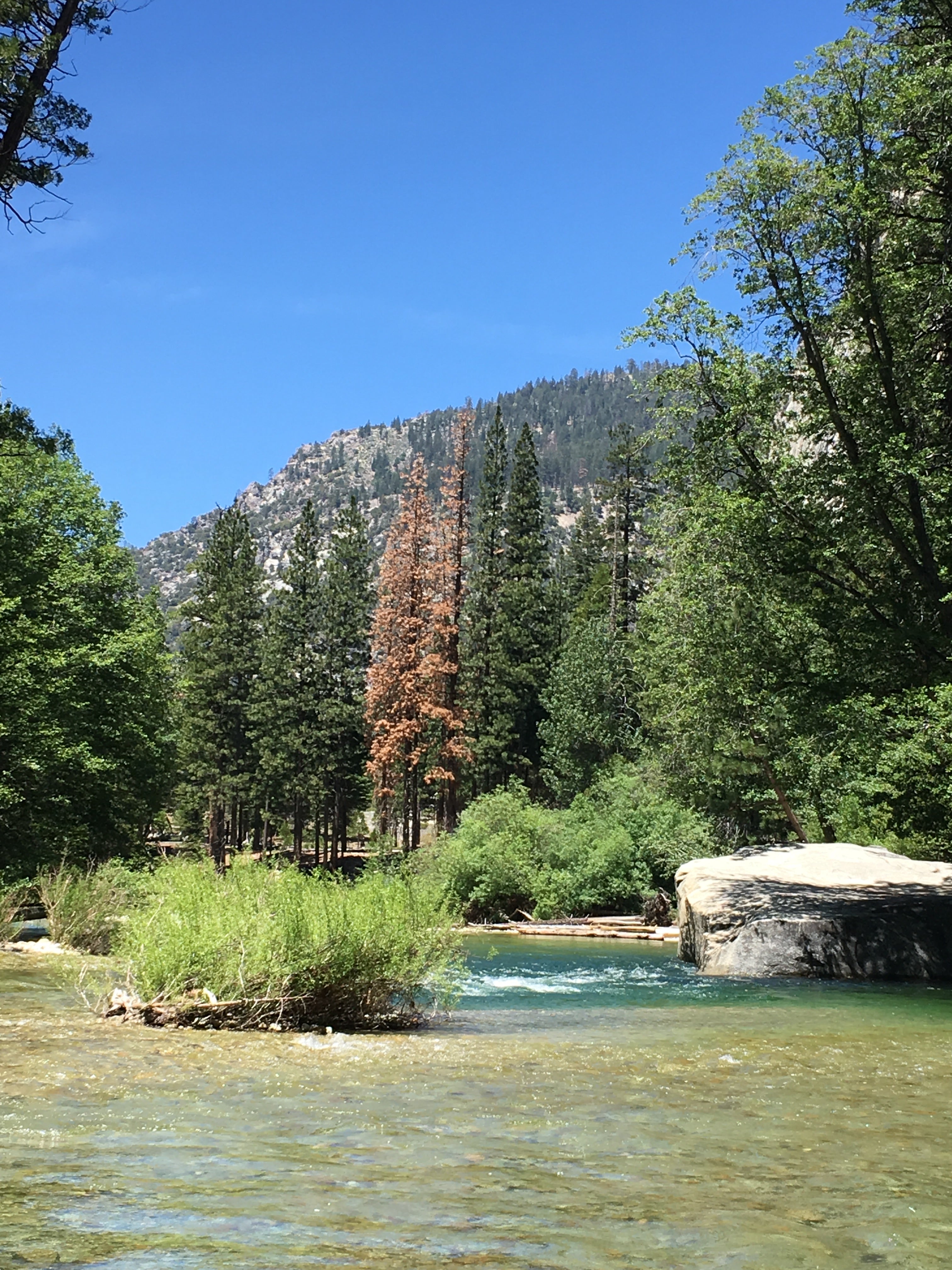 Camper submitted image from Sheep Creek Campground — Kings Canyon National Park - 3