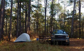 Dion B.'s photo at Kincaid Lake Recreation Area, Camping/Day Use near Rhinehart, LA