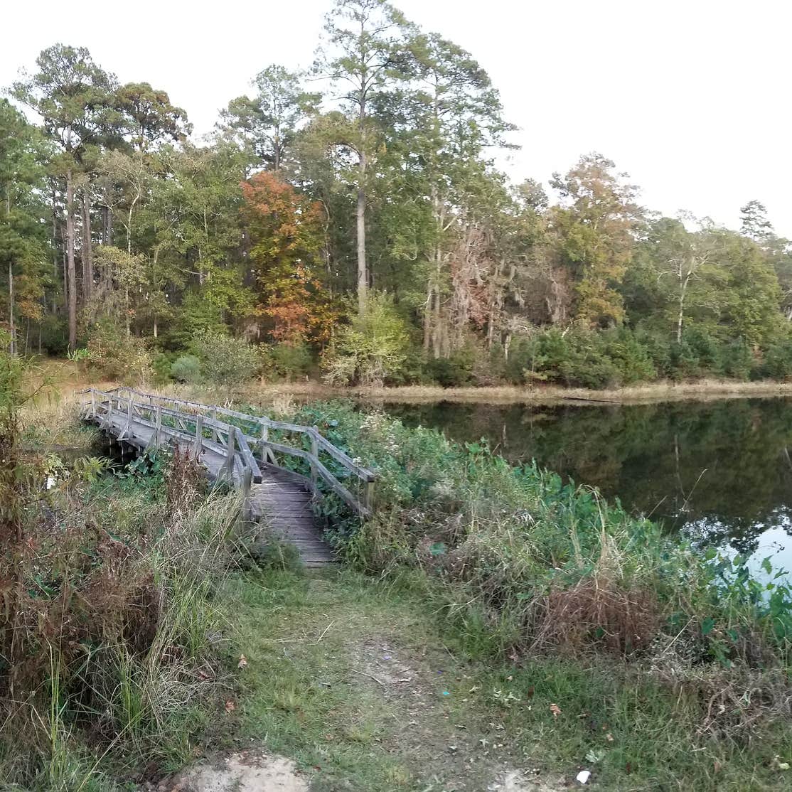Kincaid Lake Recreation Area, Camping/Day Use Camping The Dyrt