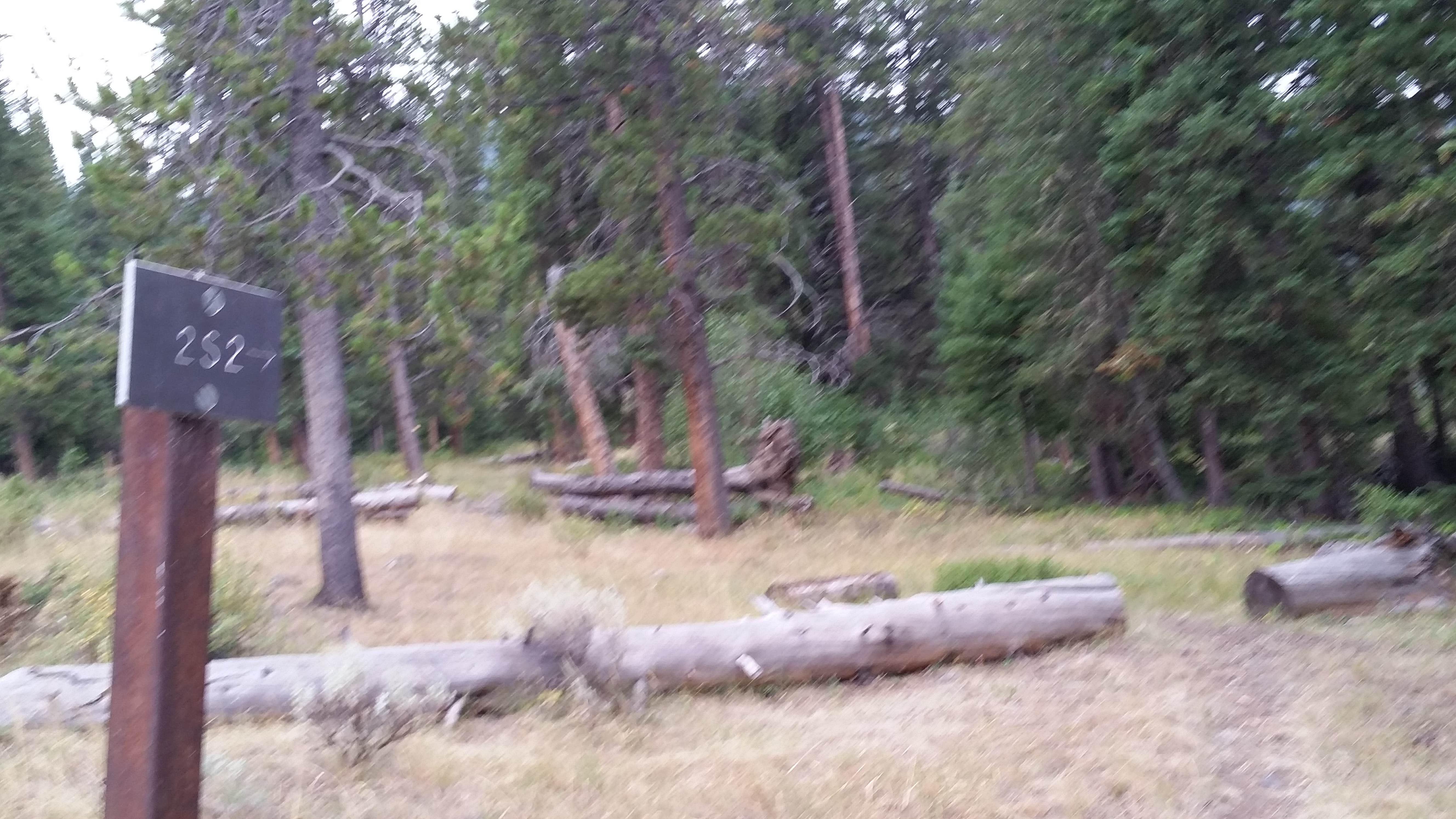 Camper-submitted photo at 2S2 Yellowstone National Park Backcountry — Yellowstone National Park near Cooke City, MT