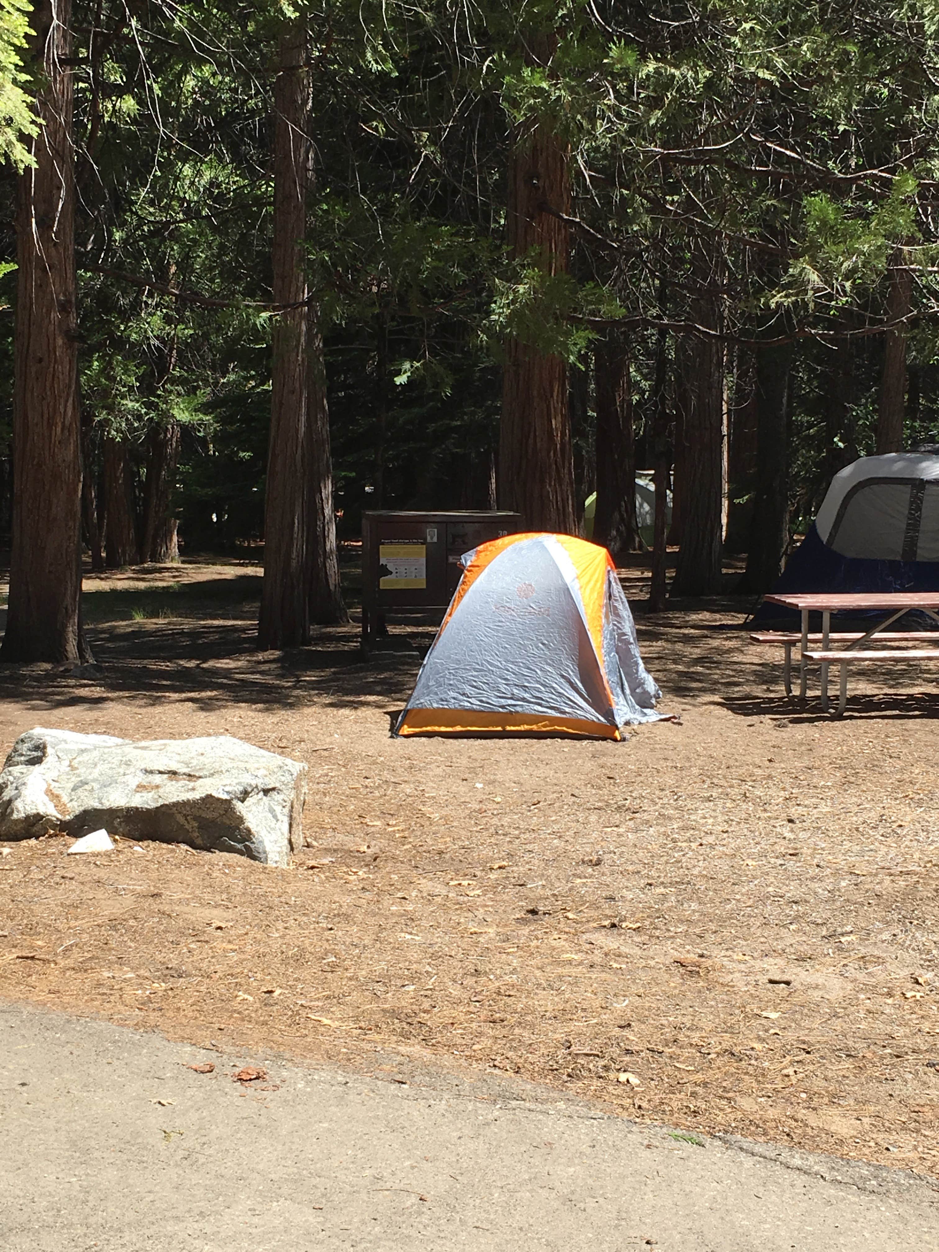 Annie C.'s photo at Sheep Creek Campground — Kings Canyon National Park near Sequoia & Kings Canyon National Parks