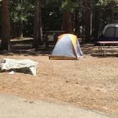 Review photo of Sheep Creek Campground by Annie C., July 1, 2018