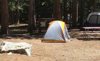 Annie C.'s photo at Sheep Creek Campground — Kings Canyon National Park near Sequoia & Kings Canyon National Parks