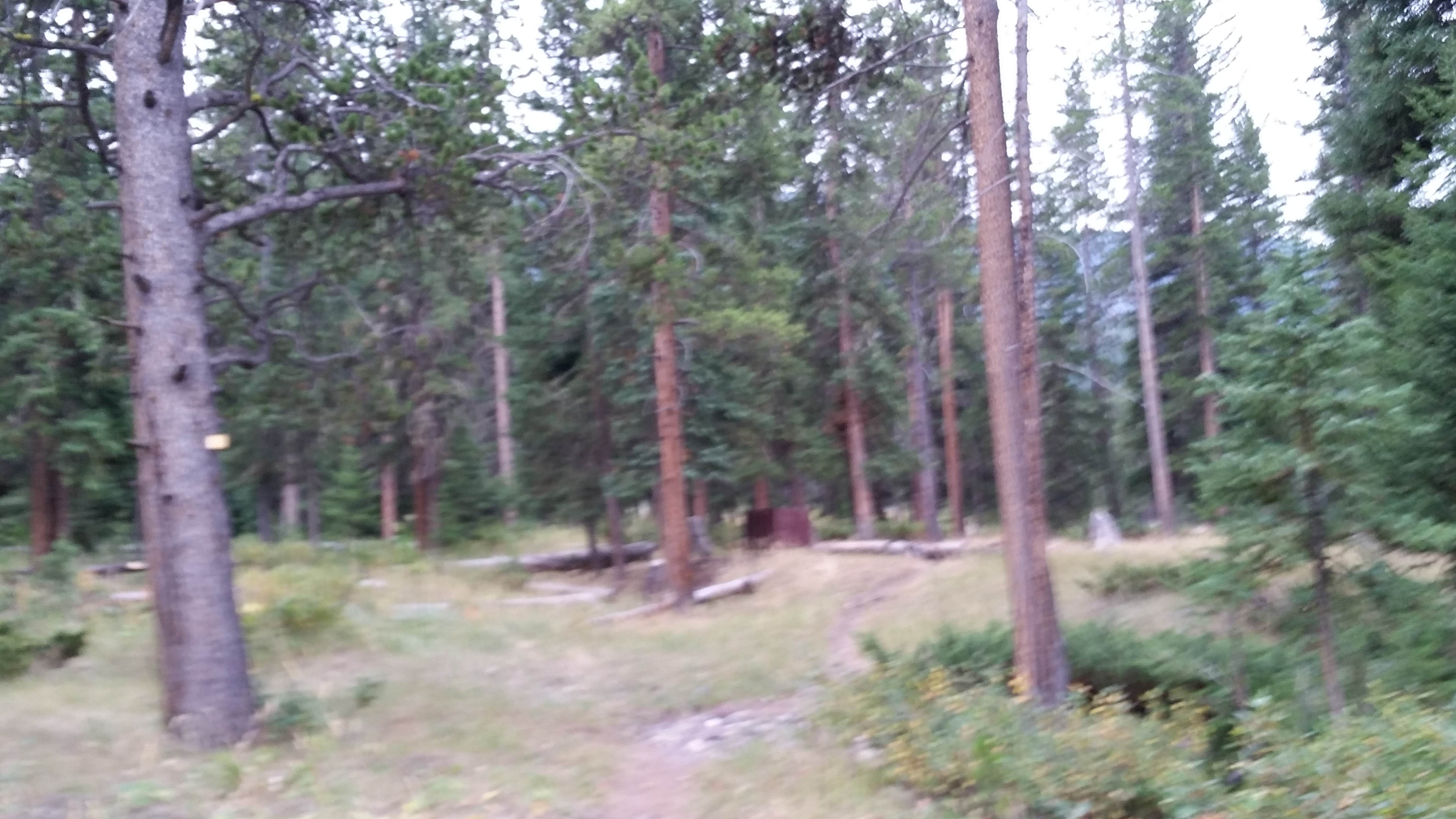 Camper-submitted photo at 2S2 Yellowstone National Park Backcountry — Yellowstone National Park near Cooke City, MT