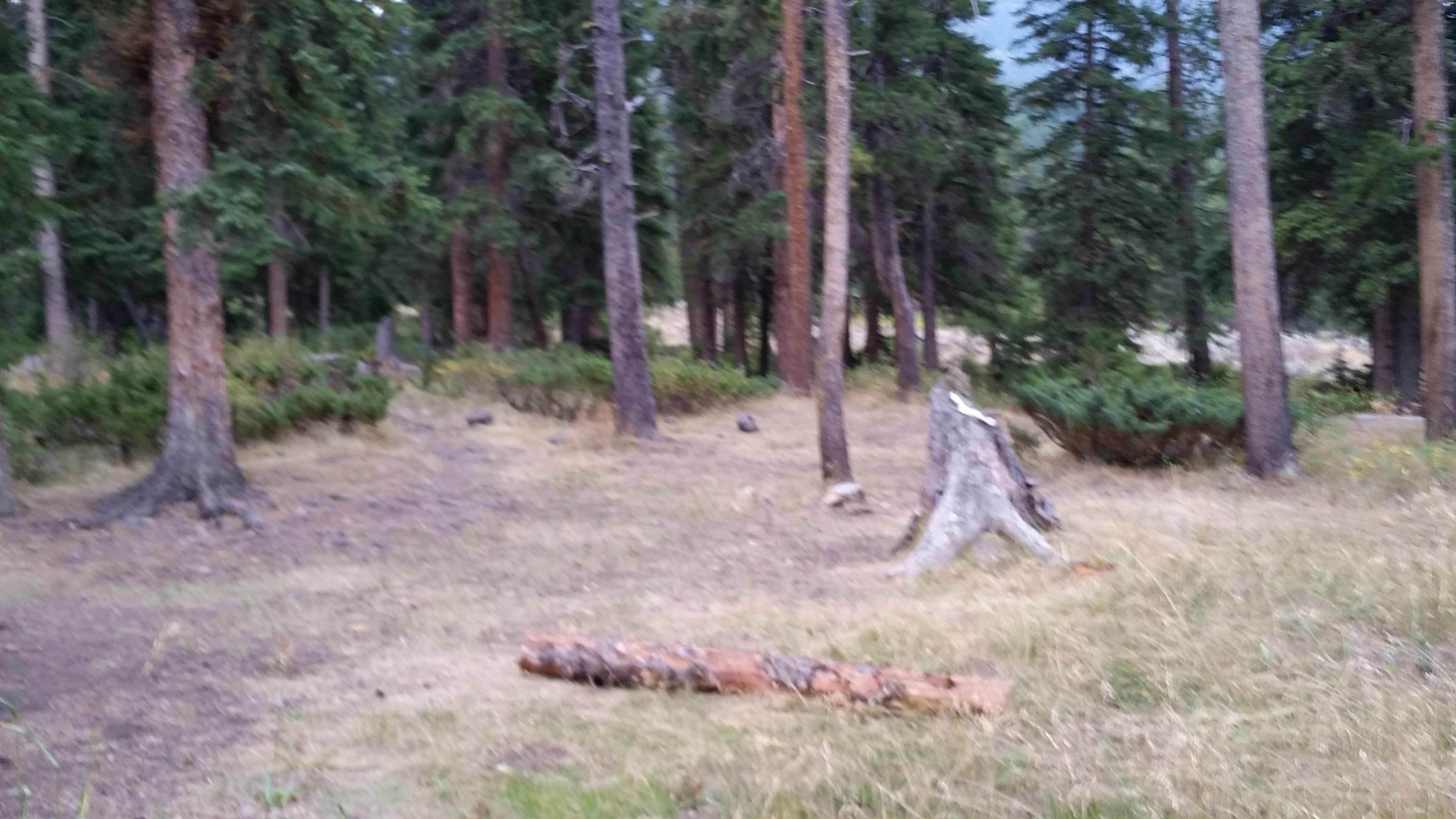 Camper-submitted photo at 2S2 Yellowstone National Park Backcountry — Yellowstone National Park near Cooke City, MT