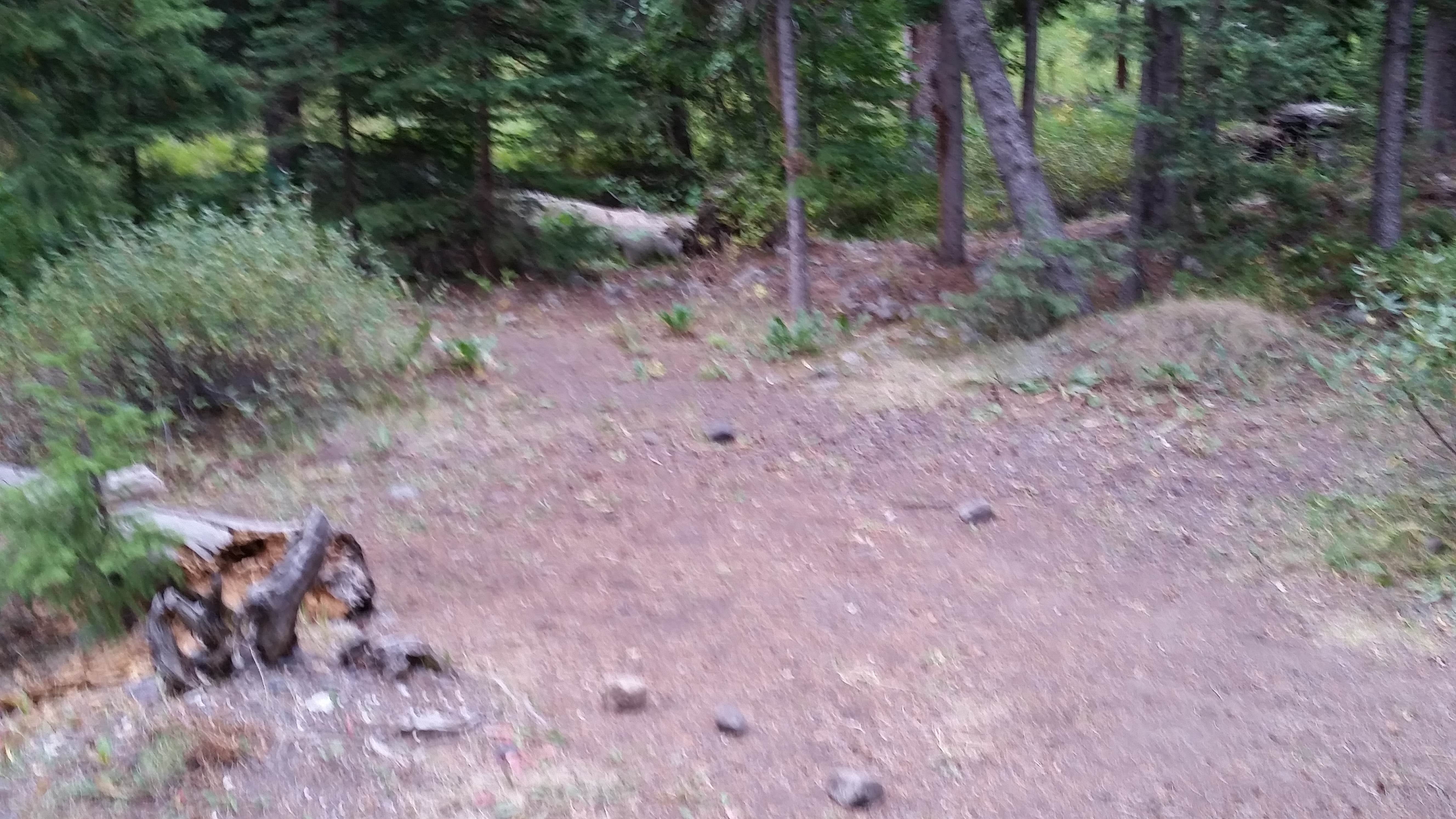 Camper submitted image from 2S2 Yellowstone National Park Backcountry — Yellowstone National Park - 4