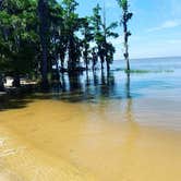 Review photo of Fontainebleau State Park Campground by Dion B., September 27, 2021