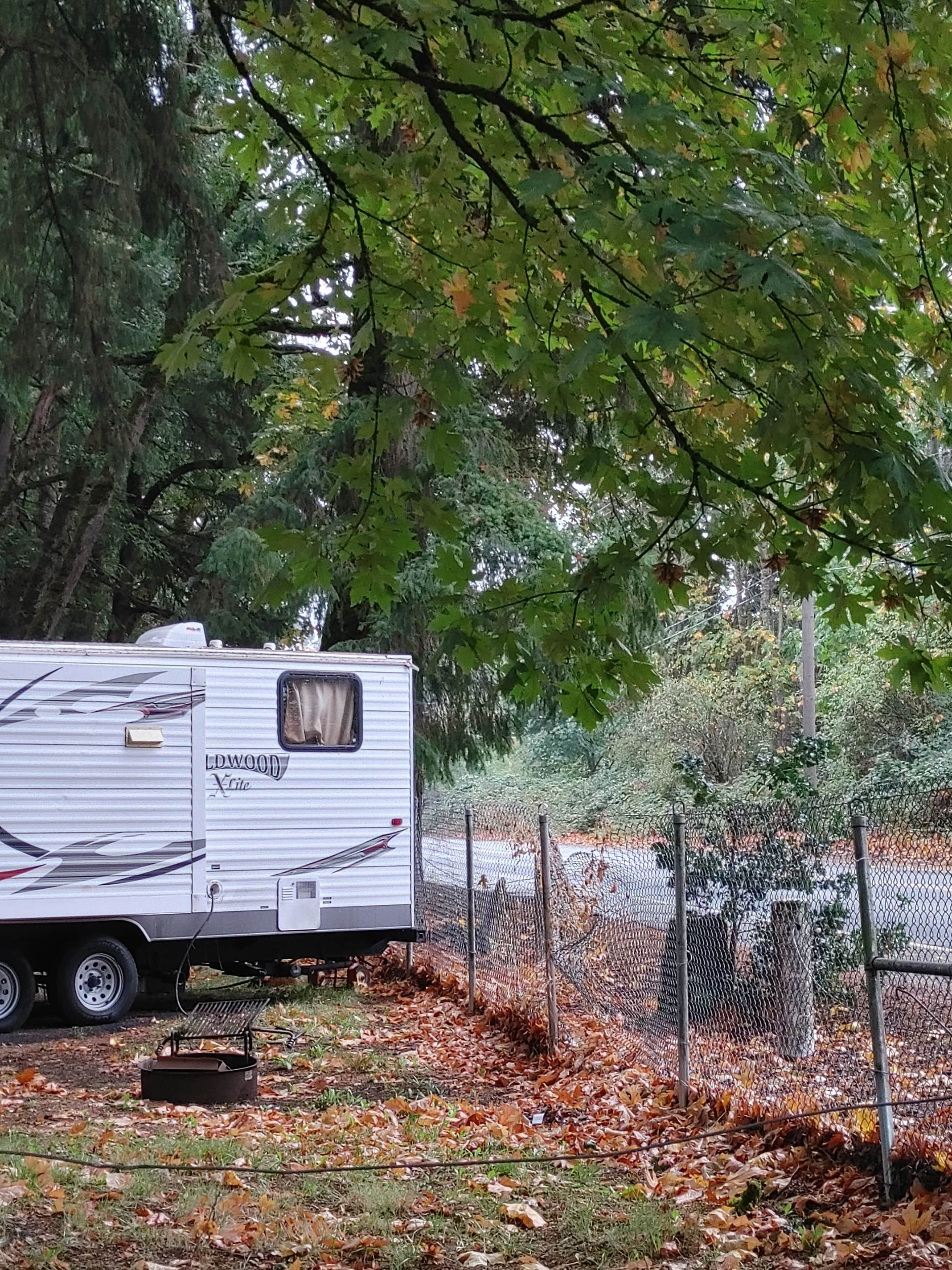 Camping near 99 RV Park: Scappoose RV Park, Scappoose, Oregon