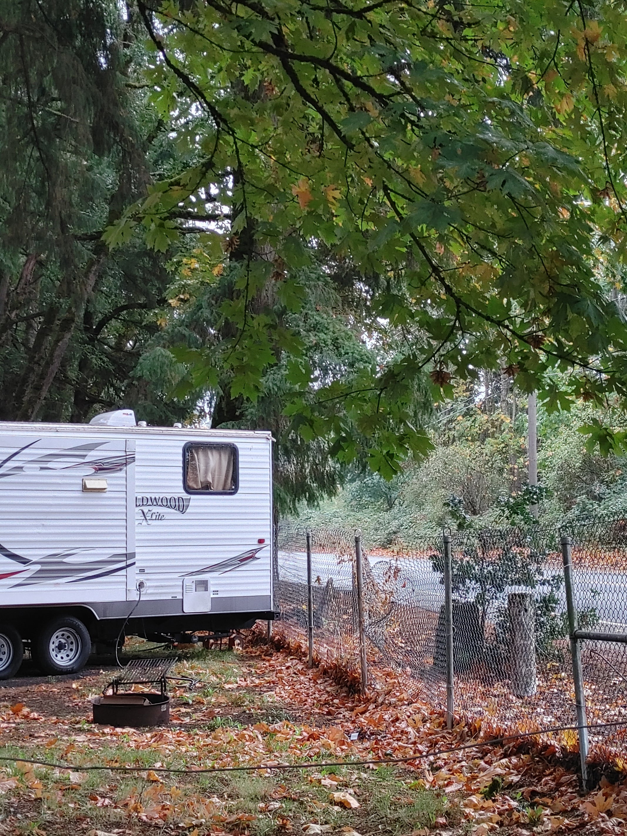 Camper submitted image from Scappoose RV Park - 1