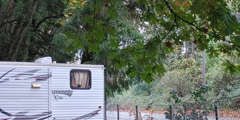 Camper submitted image from Scappoose RV Park