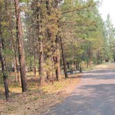 Review photo of Rexford Bench Campground by Nancy C., September 27, 2021