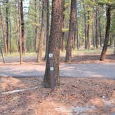 Review photo of Rexford Bench Campground by Nancy C., September 27, 2021