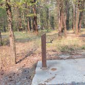 Review photo of Rexford Bench Campground by Nancy C., September 27, 2021