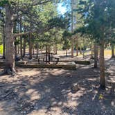 Review photo of Reverend's Ridge Campground — Golden Gate Canyon by Fabio O., September 27, 2021