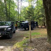 Review photo of Fort Dummer State Park Campground by Toshi , September 27, 2021