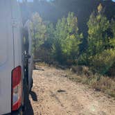 Review photo of BLM Almont Campground by Tommy B., September 27, 2021