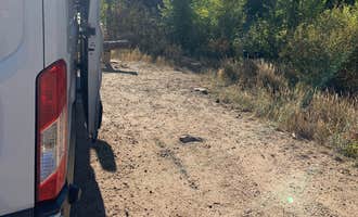 Camping near One Mile: BLM Almont Campground, Almont, Colorado