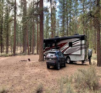 Camper-submitted photo from NF-70 Dispersed Camping Near Crater Lake NP