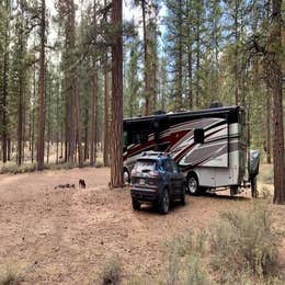 NF-70 Dispersed Camping Near Crater Lake NP