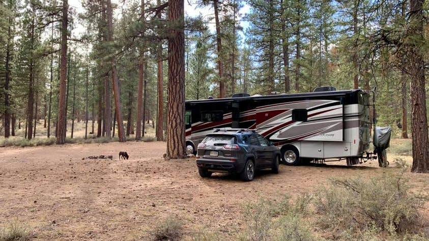 Camper submitted image from NF-70 Dispersed Camping Near Crater Lake NP - 1