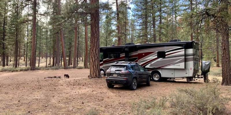 Camper submitted image from NF-70 Dispersed Camping Near Crater Lake NP