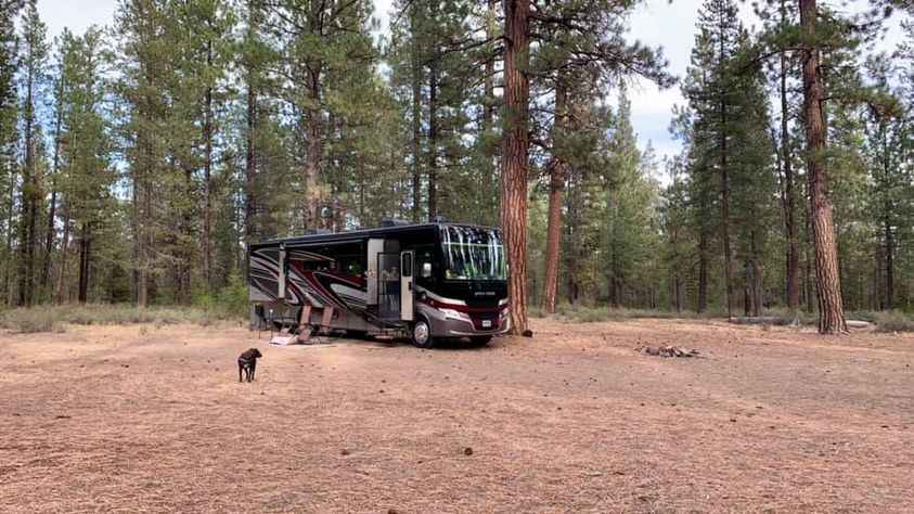 Camper submitted image from NF-70 Dispersed Camping Near Crater Lake NP - 3