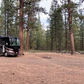 Review photo of NF-70 Dispersed Camping Near Crater Lake NP by Ray & Terri F., September 27, 2021