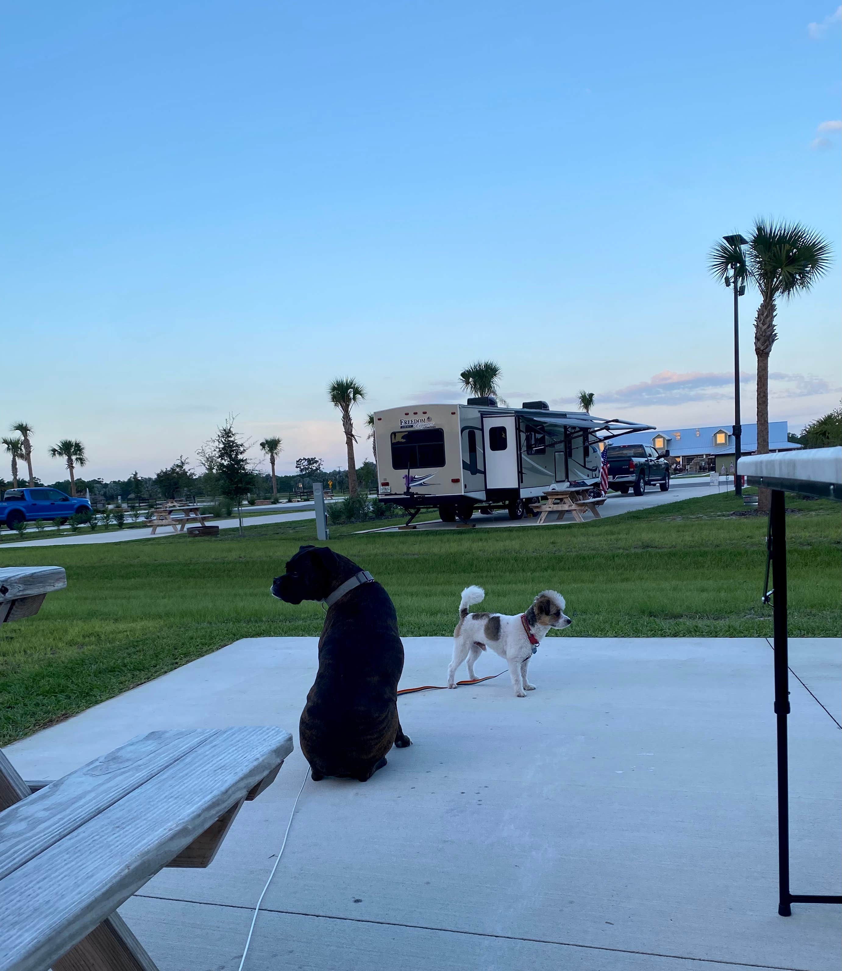 Amanda W.'s photo of camping with pets at Resort at Canopy Oaks near St. Cloud, FL