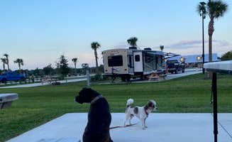 Amanda W.'s photo of camping with pets at Resort at Canopy Oaks near Poinciana, FL