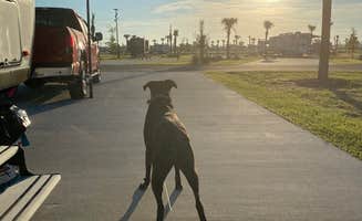 Amanda W.'s photo of camping with pets at Resort at Canopy Oaks near Poinciana, FL