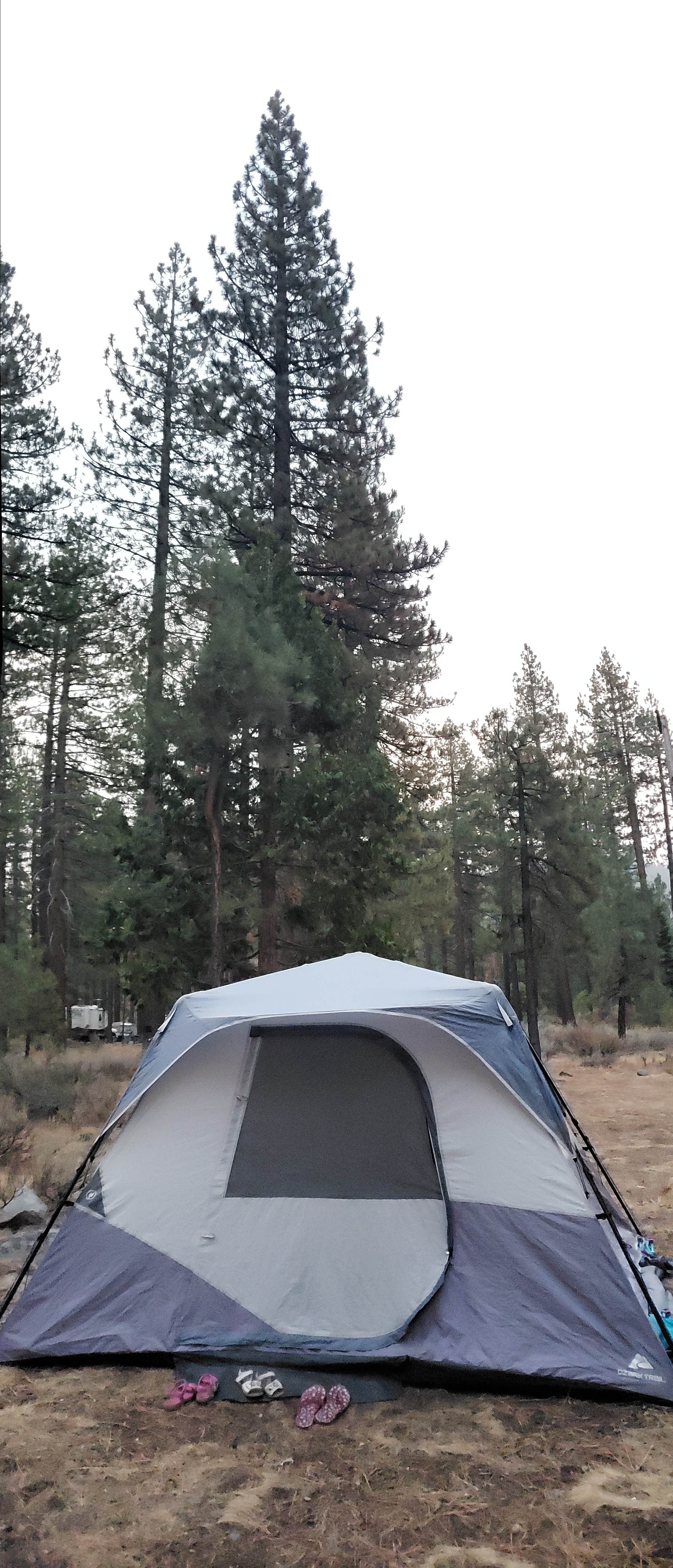 Long N.'s photo at Fallen Leaf Campground - South Lake Tahoe near Tahoma, CA