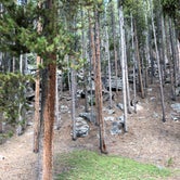 Review photo of South Fork (wyoming) by N I., September 27, 2021