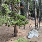 Review photo of South Fork (wyoming) by N I., September 27, 2021