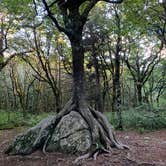 Review photo of Hickory Ridge Campground — Grayson Highlands State Park by Gary G., September 27, 2021